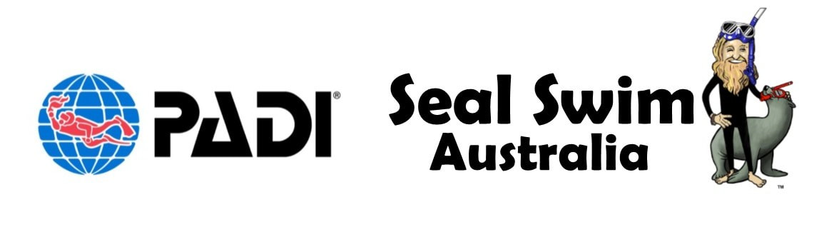 Swim with Seals Montague Island Snorkel and Scuba Dive with Seals Narooma