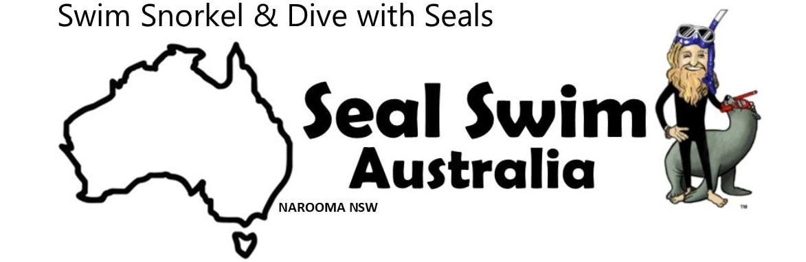 Seal swim Australia PADI Dive Resort